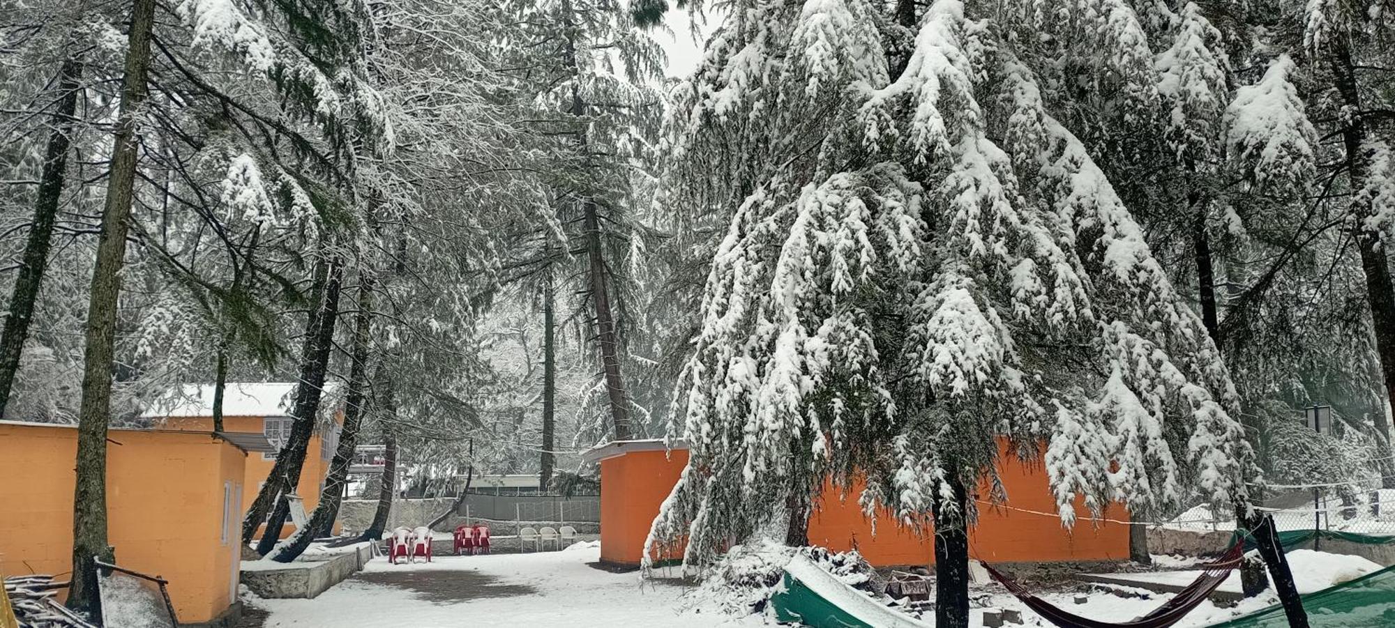 Pandora Riverside Cafe & Stay Kasol Exterior foto